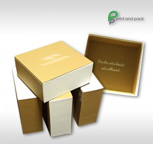 Box20        